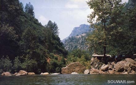 Damour River