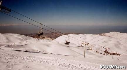 Faraya