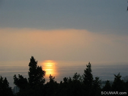 The Golden road , Byblos coast