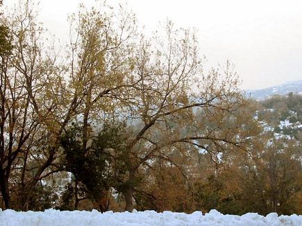 Winter Scene , Aannaya , Jbeil