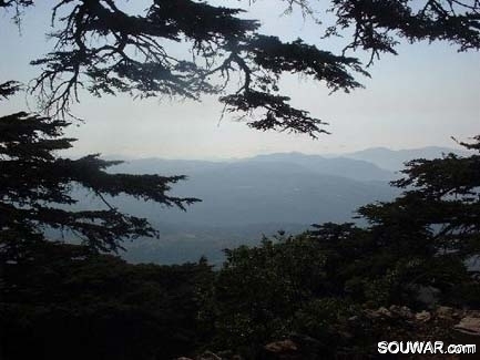 Chouf