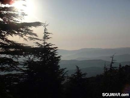 Chouf