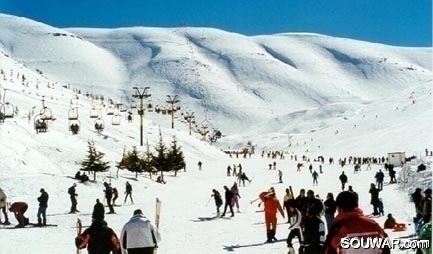 Faraya