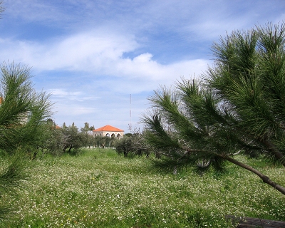 Batroun