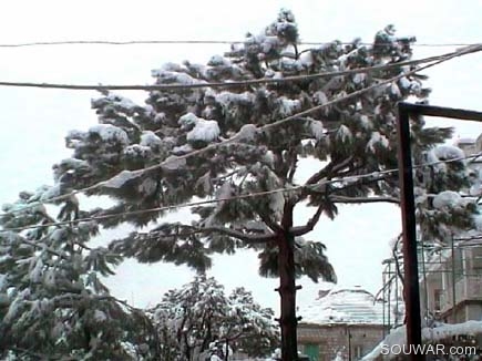 Bteghrine under the snow