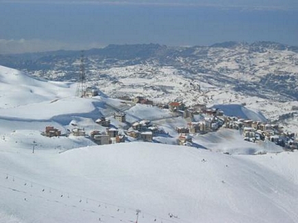 Faraya