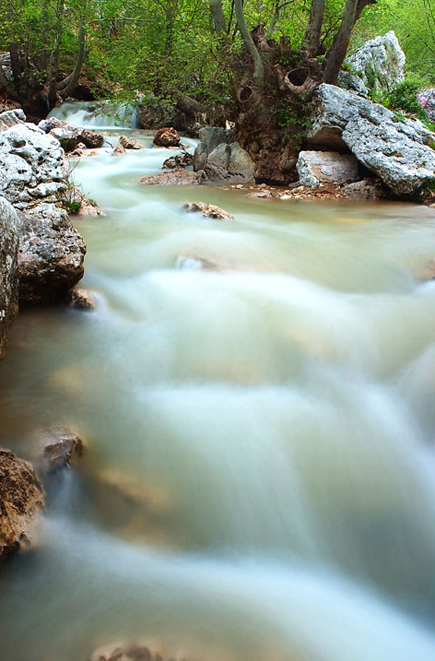 Mount Lebanon River