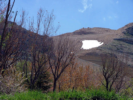 Kfardebian