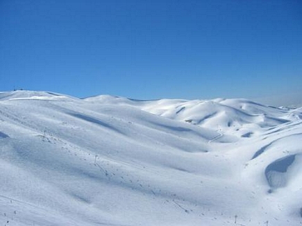 Faraya