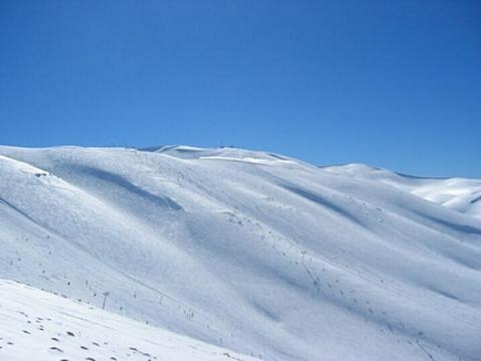 Faraya