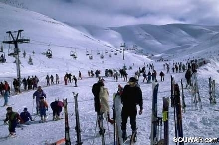 Faraya