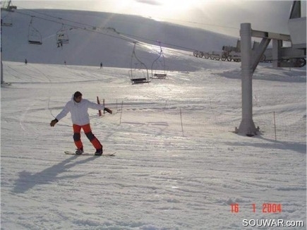 Faraya