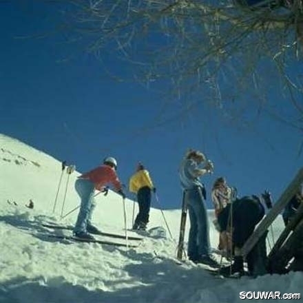 Faraya