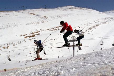 Faraya