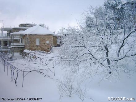 Hammana Under Snow