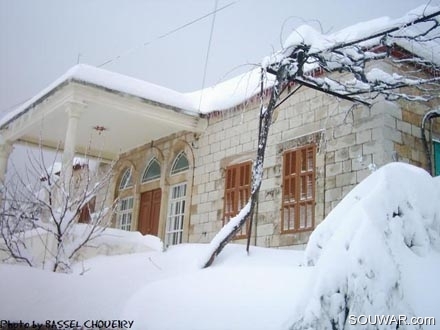 Hammana Under Snow