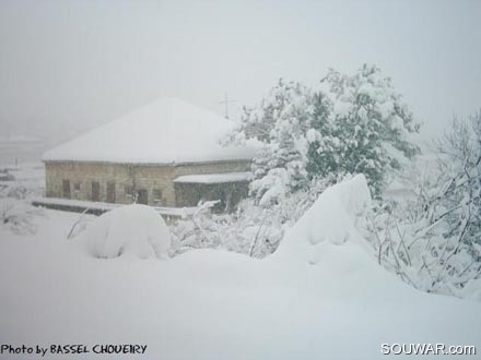 Hammana Under Snow