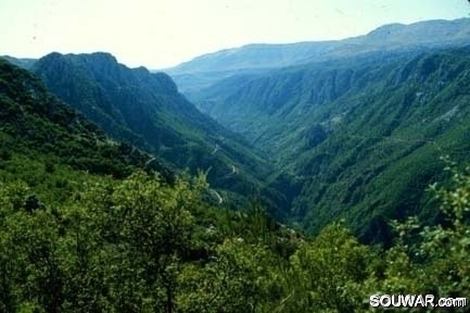 Kartaba