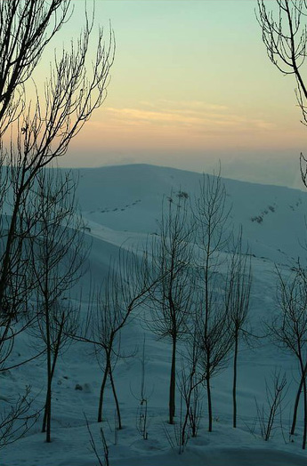 kfardebian