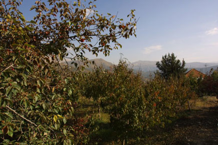 kfardebian