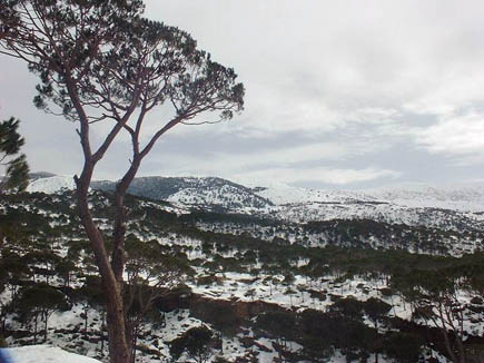 El Chouf