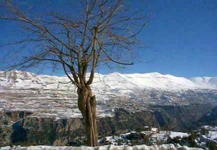 Kfardebian