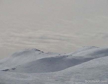 Faraya