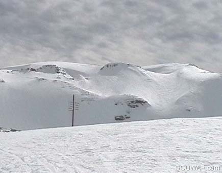 Faraya