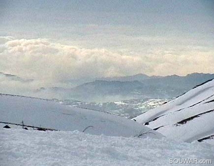 Faraya