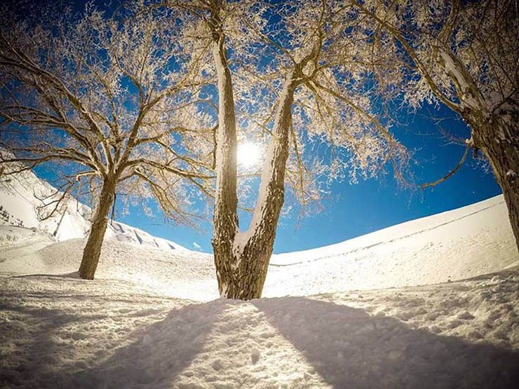 Faraya - Mzaar Kfardebian