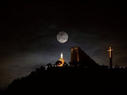 Harissa