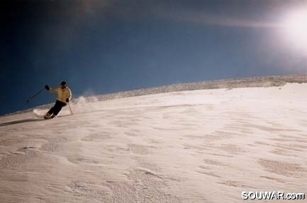 Faraya