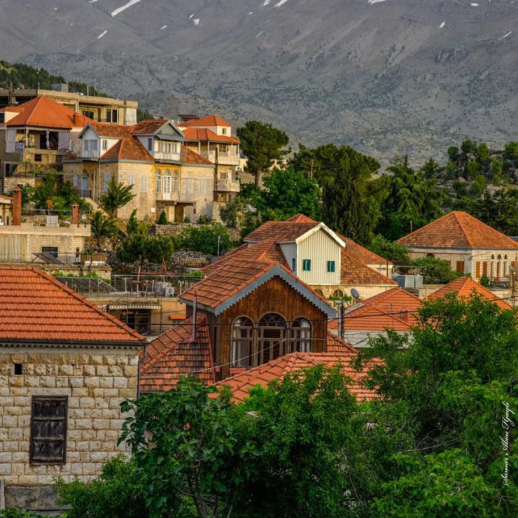 Rashaya