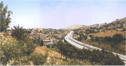 Sawfar