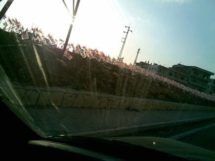 Only in Lebanon