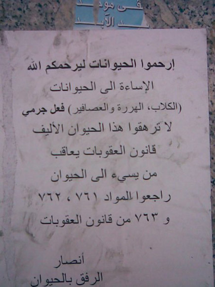 Only in Lebanon