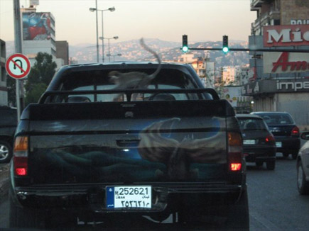 Only in Lebanon