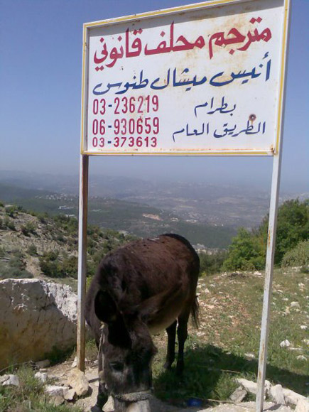 Only in Lebanon