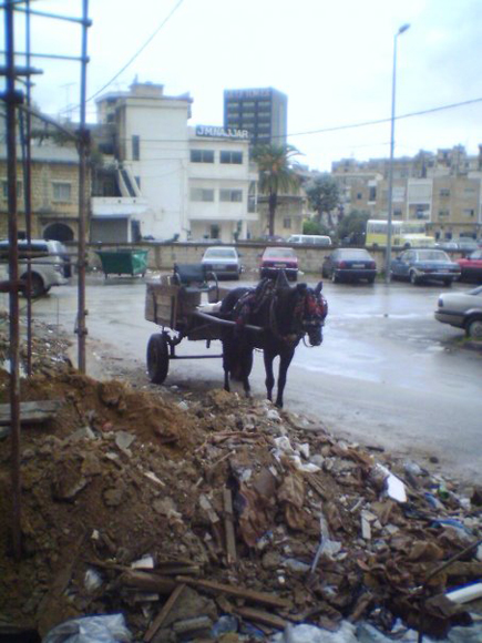 Only in Lebanon