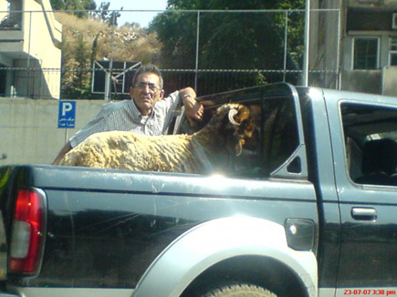 Only in Lebanon