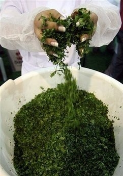 Tabbouleh in Guiness Book for Lebanon