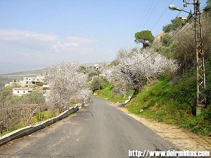 Deir Mimas - Marjeyoun