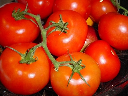 Fresh Tomatoes