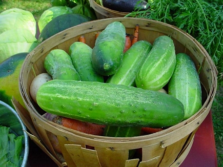 Cucumbers