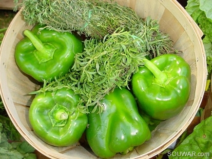 Piment Vert