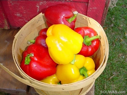 Piment rouge et jaune