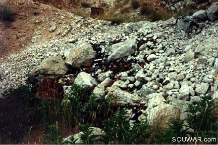 Ain Zhalta