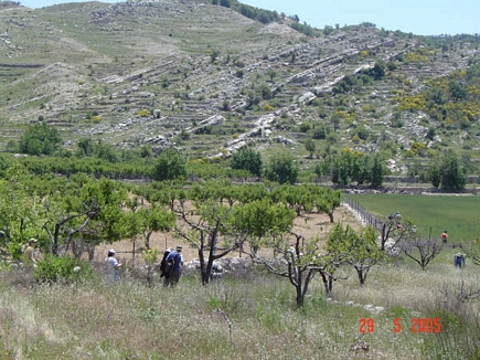 Hiking Trip To jezzine