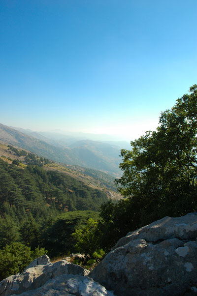 Jezzine