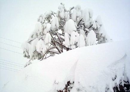 Jezzine